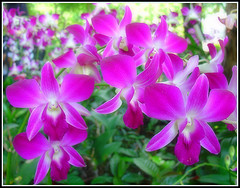 Thanks god, my dearest and all dear friends! ;...