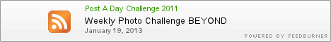 Post A Day Challenge 2011